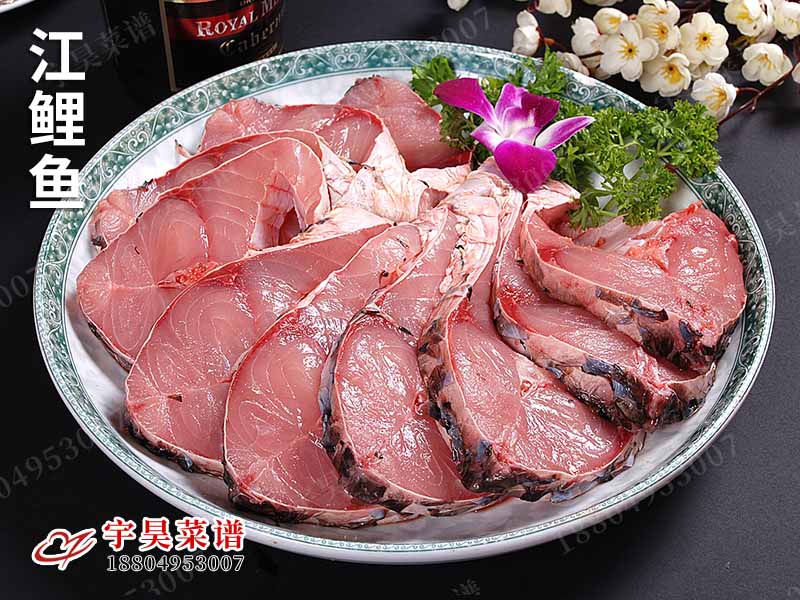 江鯉魚