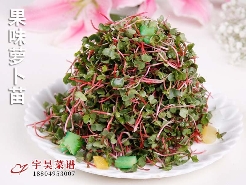果味蘿卜苗