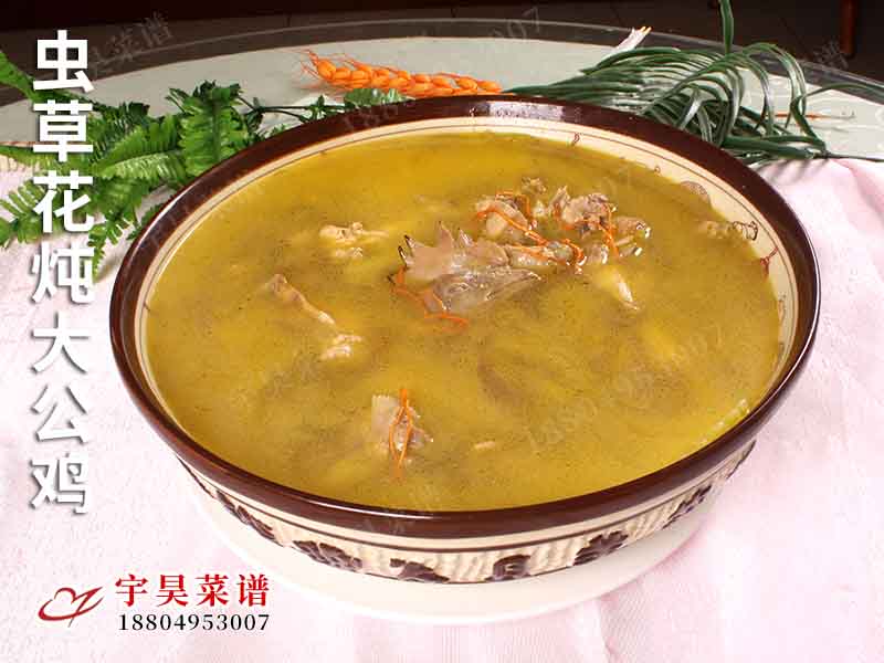 蟲草（cǎo）花燉（dùn）大公雞