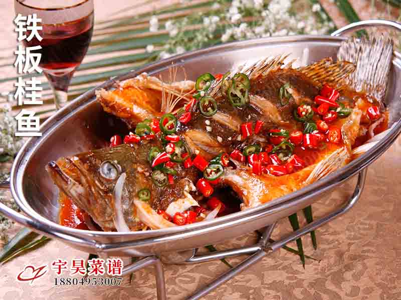 鐵板（bǎn）桂魚