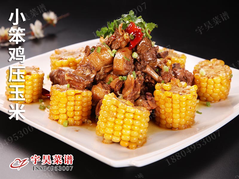 小笨雞壓玉米