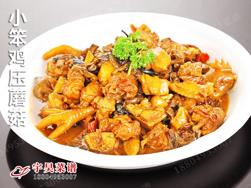 小笨雞壓蘑菇