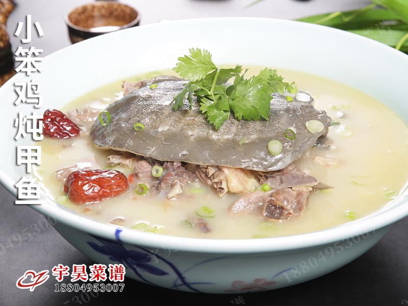 小笨雞(jī)燉(dùn)甲魚