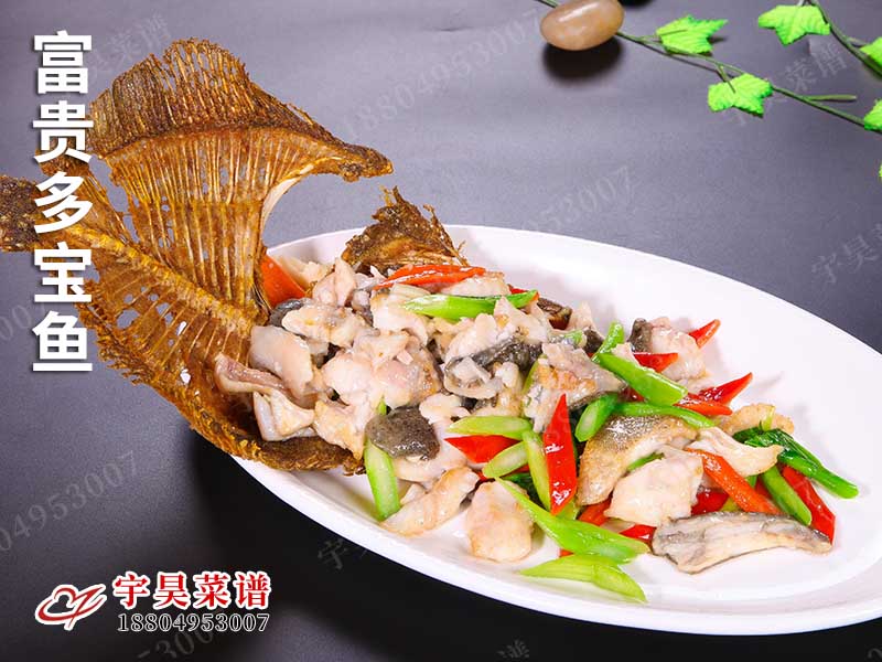 富（fù）貴多寶魚