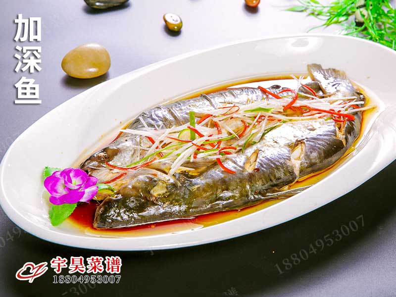 加深魚