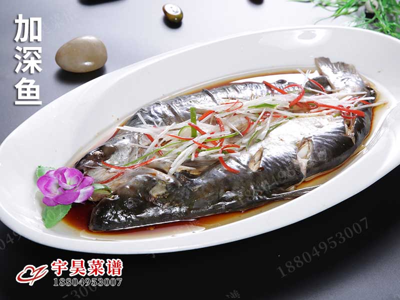 加深魚（yú）