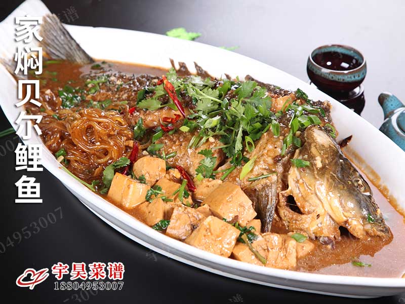 家燜貝爾鯉魚