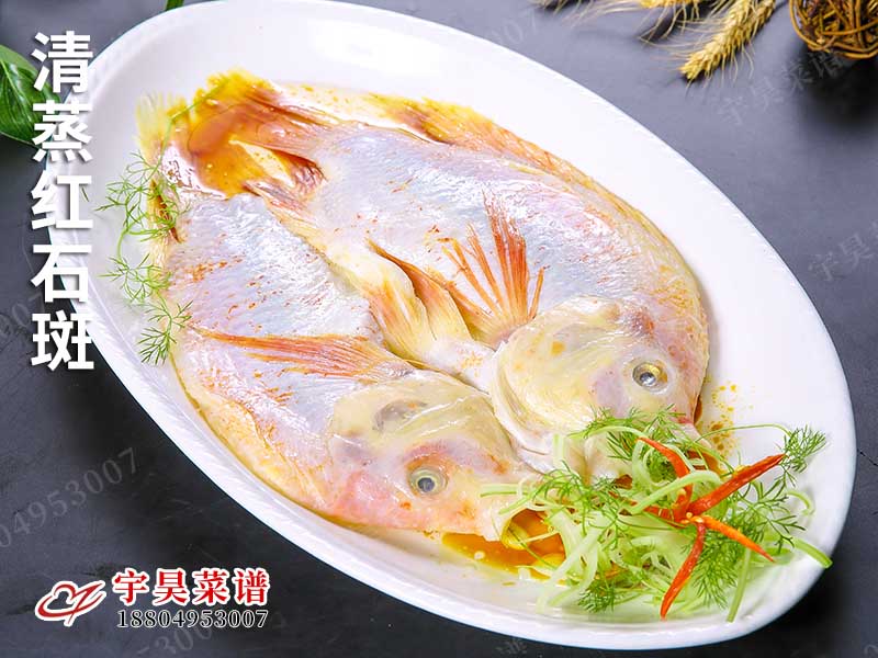 清蒸紅石斑