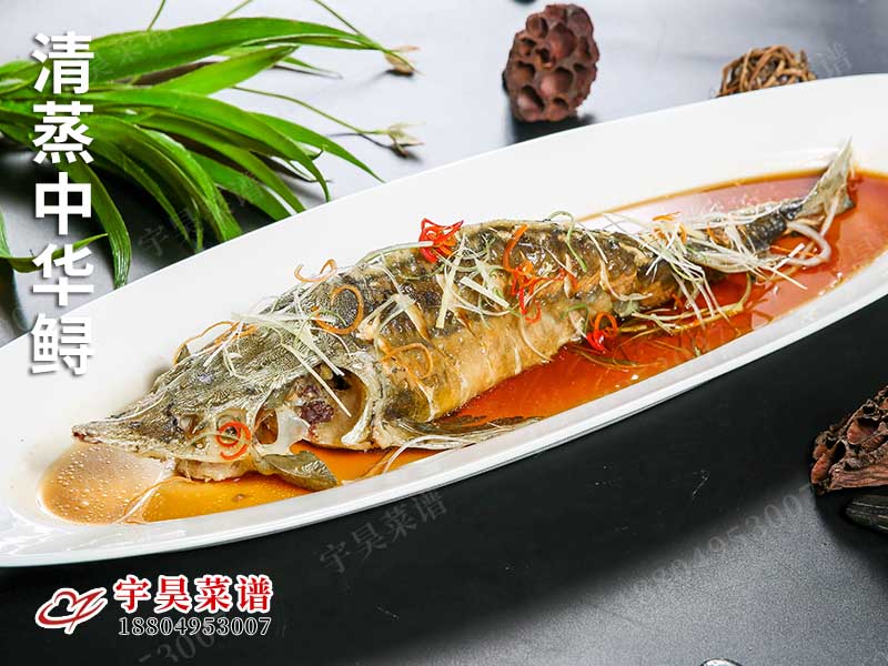 清蒸中華鱘
