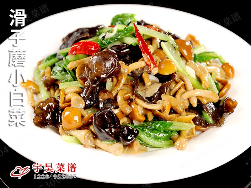 滑子（zǐ）蘑小（xiǎo）白菜