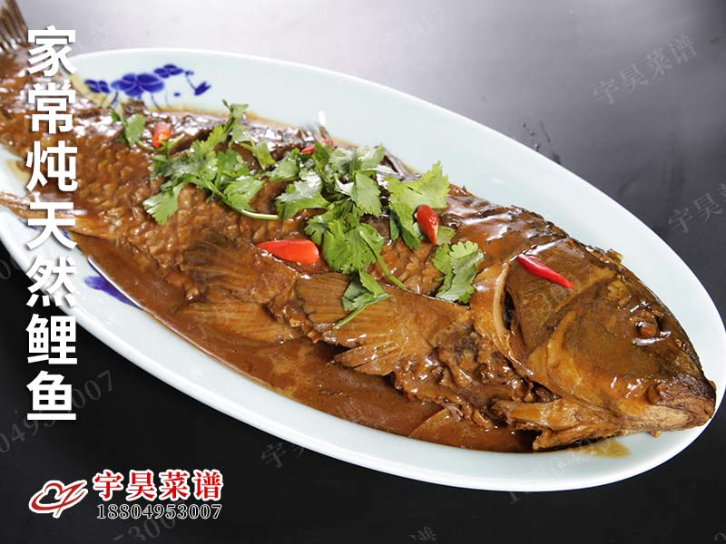 家常燉天然鯉魚